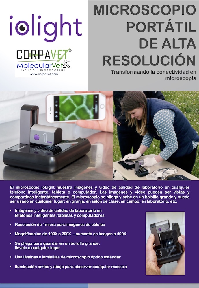 ioLight 2020