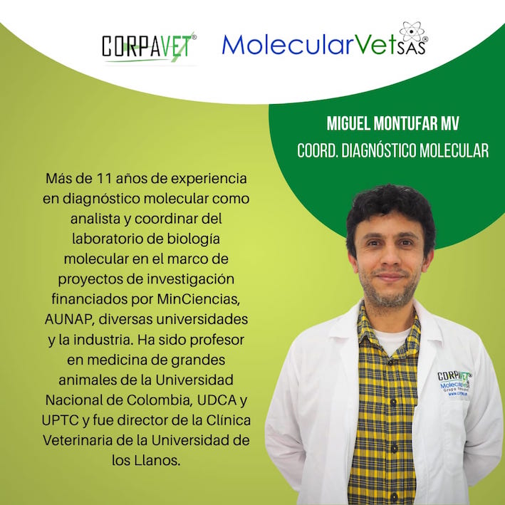 MMONTUFAR 2021
