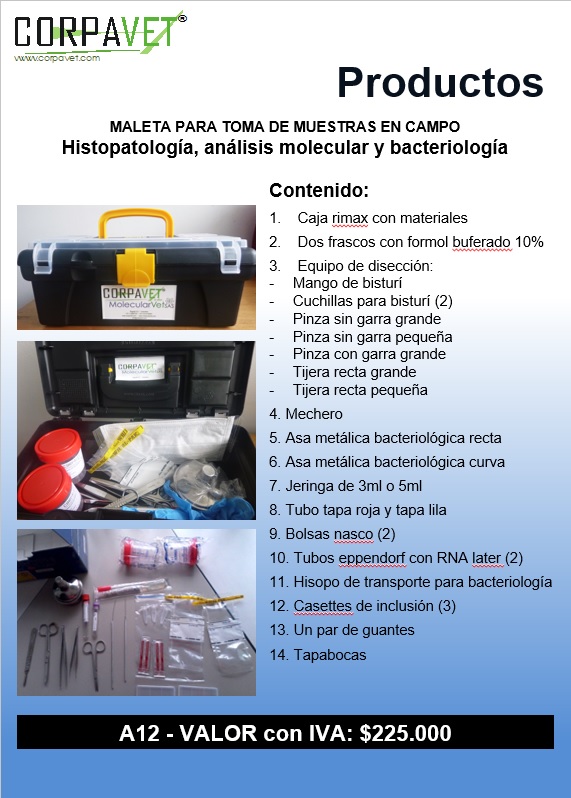 MALETIN