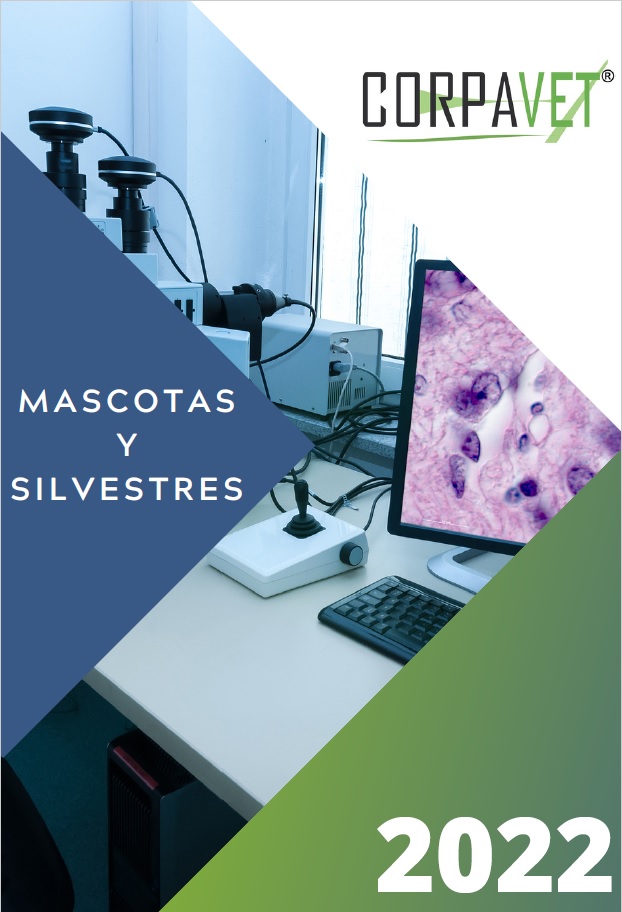 Linea de servicios